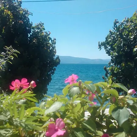 Krste