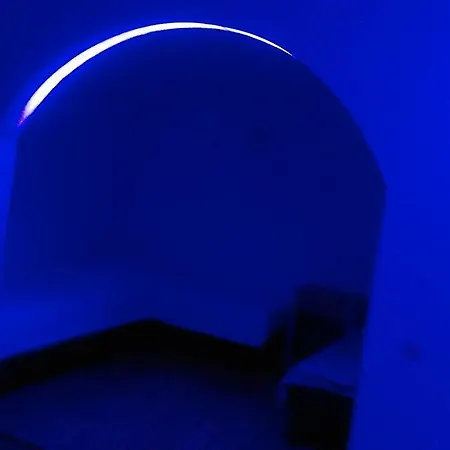 Krste Lejlighed Trpejca