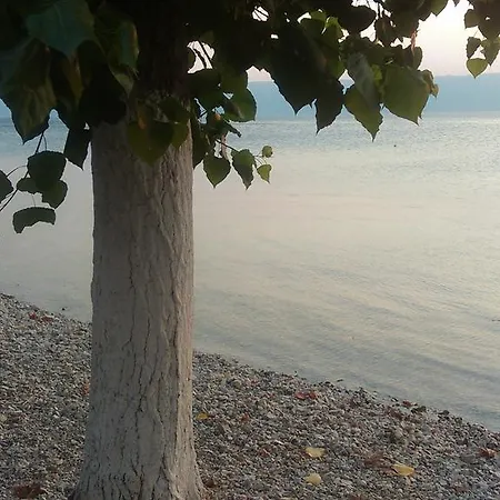 Krste Trpejca