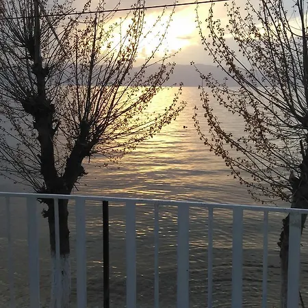 Krste Trpejca